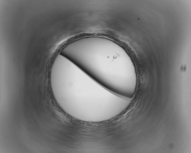 X0000096171304200802011309