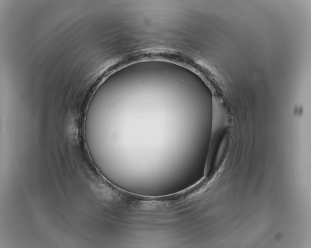 X0000096171305200802011309