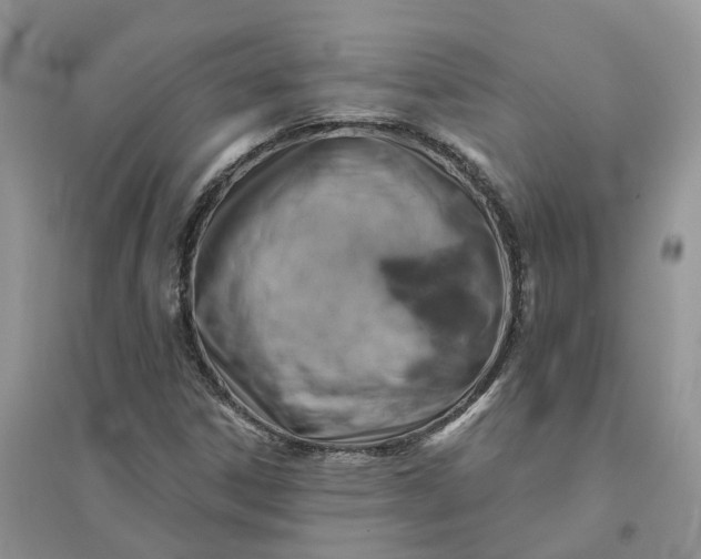 X0000096171306200802011309