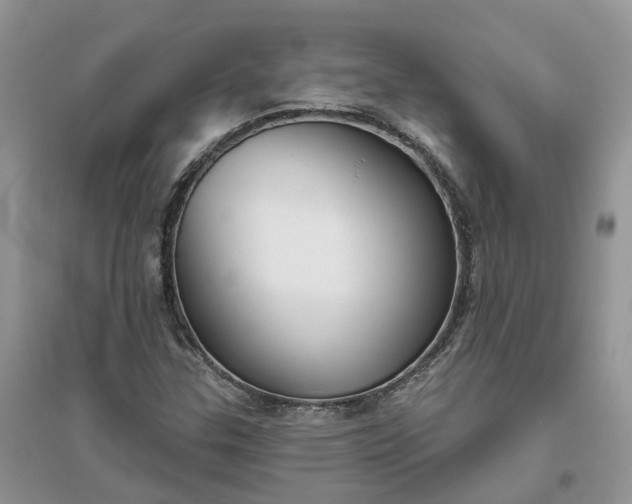 X0000096171307200802011309