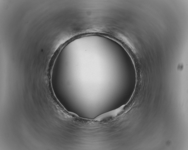 X0000096171308200802011309