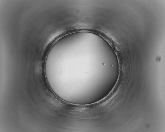 X0000096171309200802011309