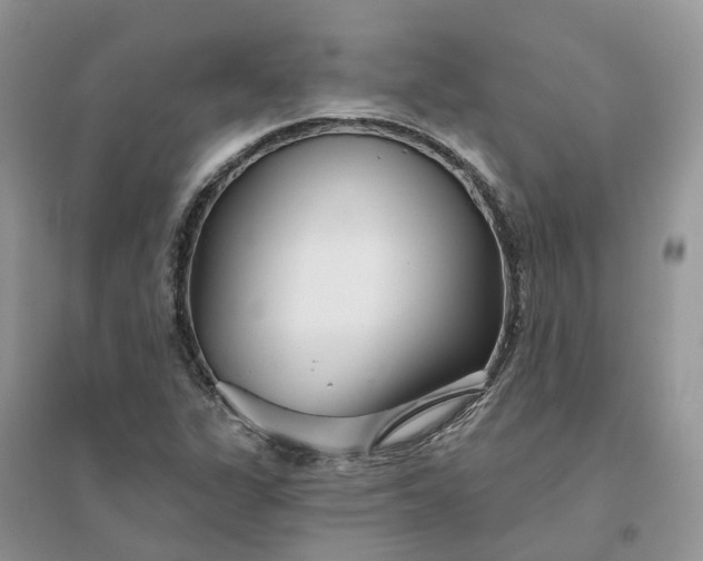 X0000096171311200802011309