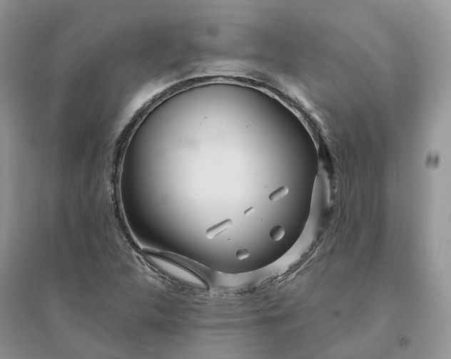 X0000096171312200802011309