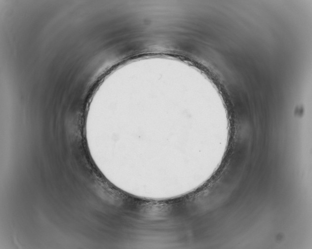 X0000096171314200802011309