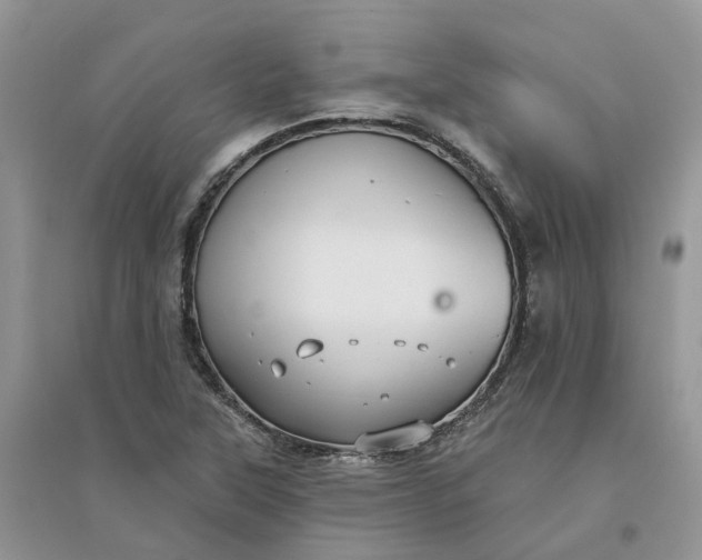 X0000096171315200802011309