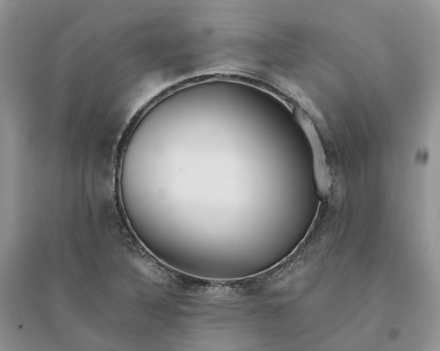 X0000096171316200802011309