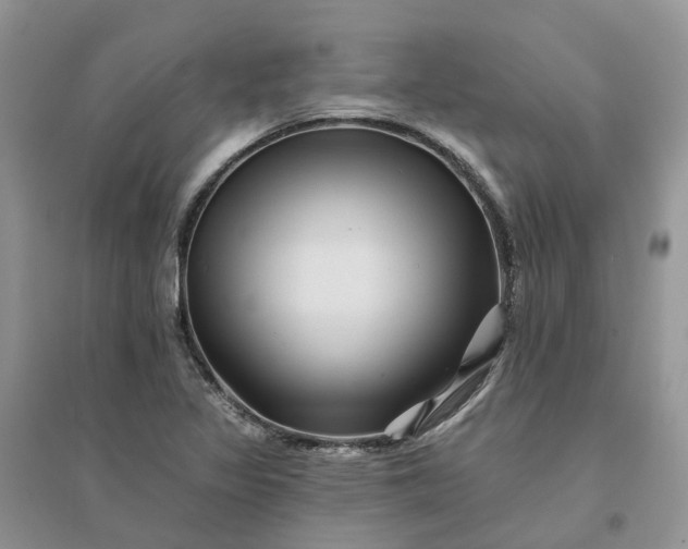 X0000096171317200802011309