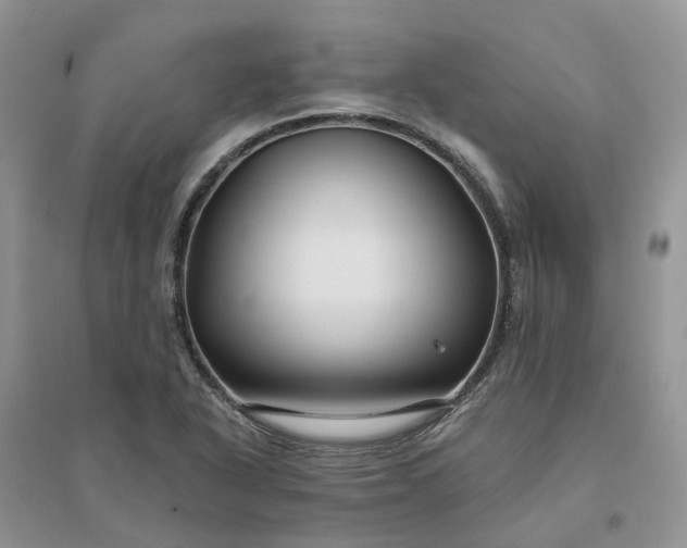 X0000096171318200802011309