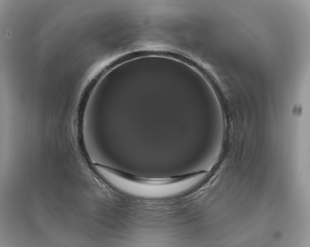 X0000096171319200802011309