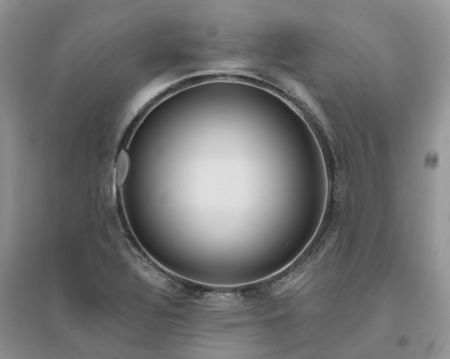 X0000096171320200802011309