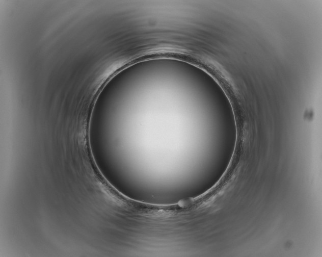 X0000096171321200802011309