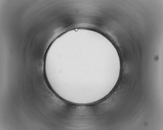 X0000096171322200802011309