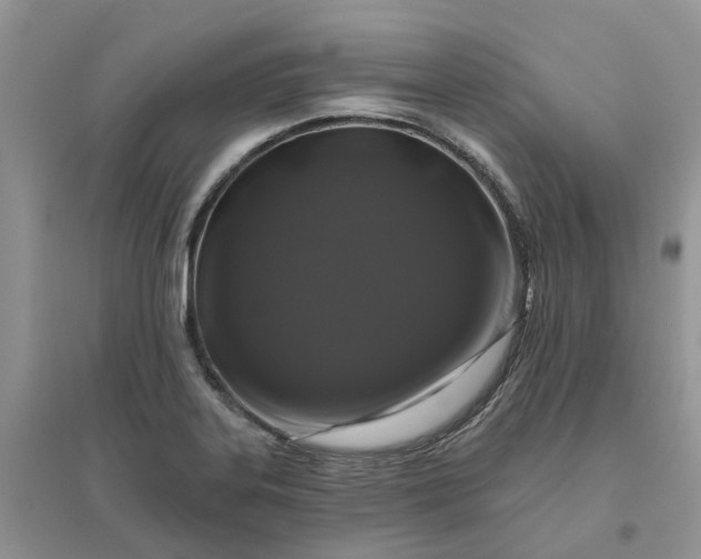 X0000096171323200802011309