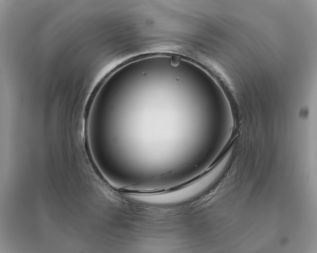 X0000096171324200802011309