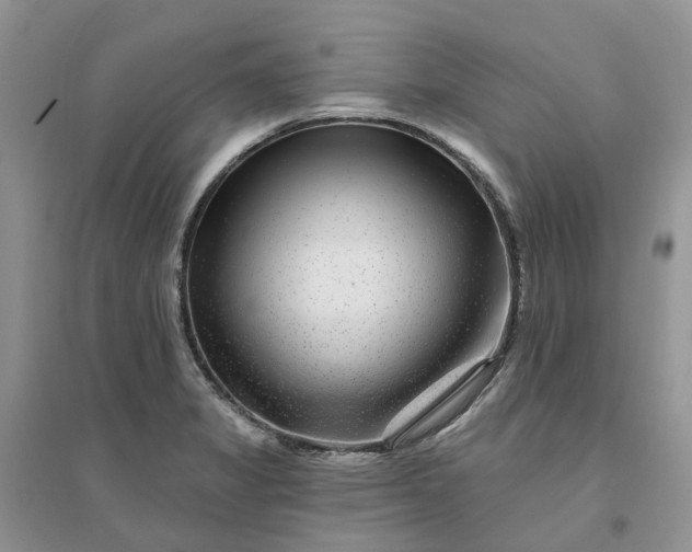 X0000096171325200802011309