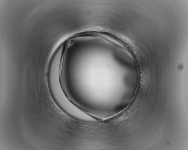 X0000096171326200802011309