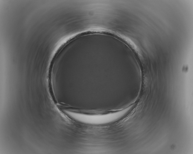 X0000096171327200802011309