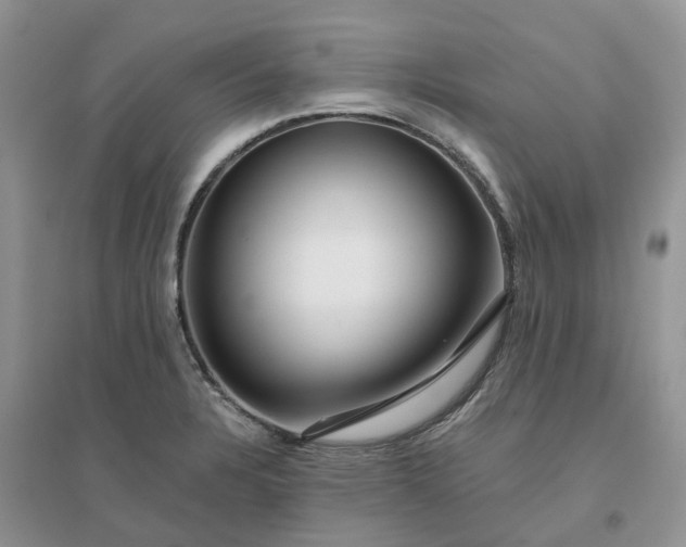 X0000096171328200802011309