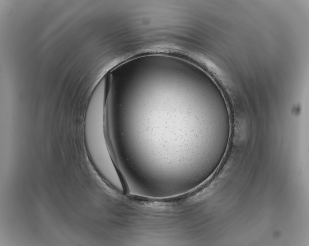 X0000096171329200802011309