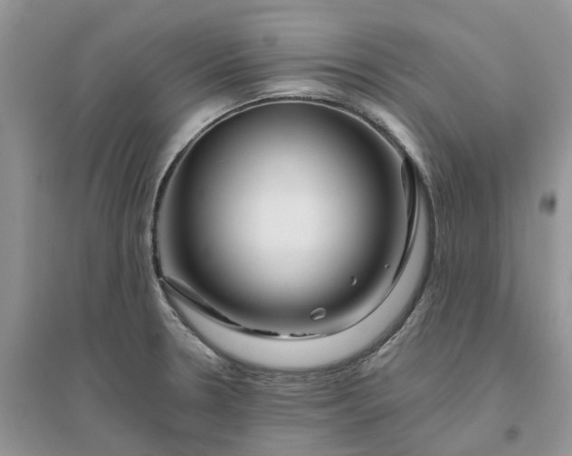 X0000096171330200802011309