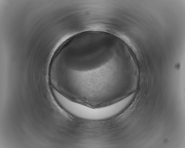 X0000096171331200802011309