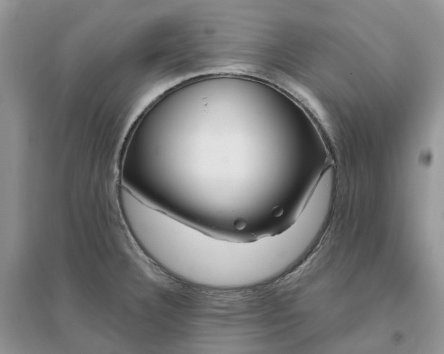 X0000096171332200802011309