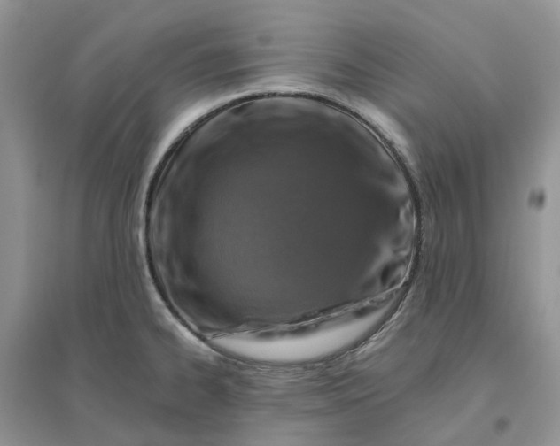 X0000096171334200802011309