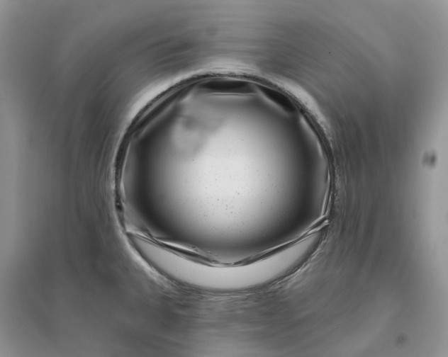 X0000096171335200802011309