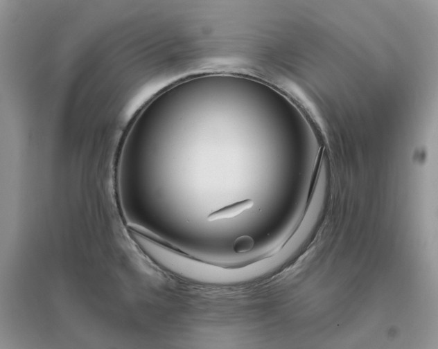 X0000096171336200802011309