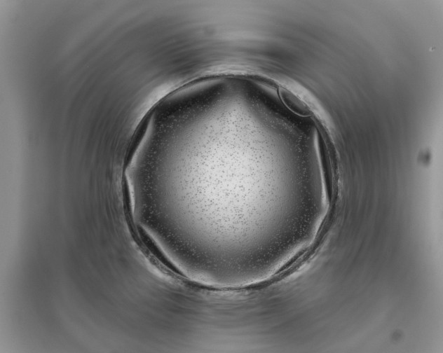 X0000096171337200802011309