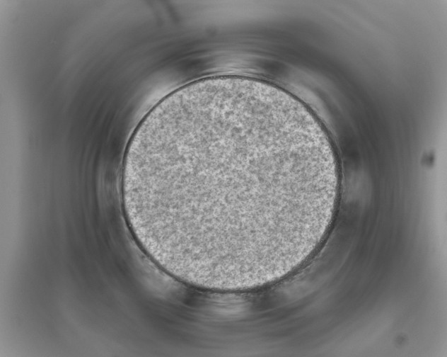 X0000096171338200802011309