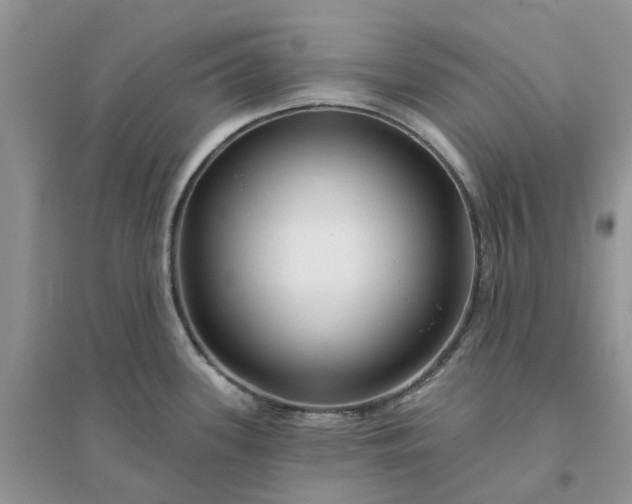 X0000096171339200802011309