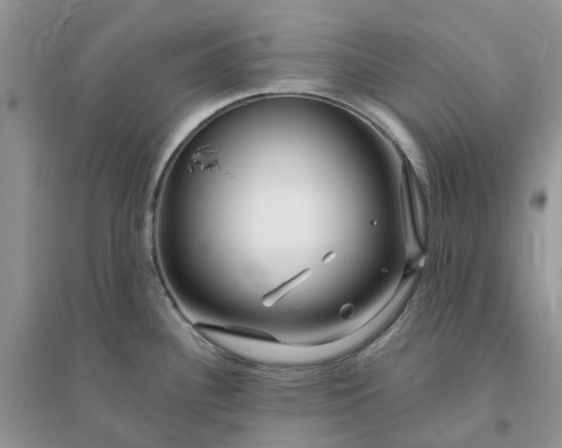 X0000096171340200802011309