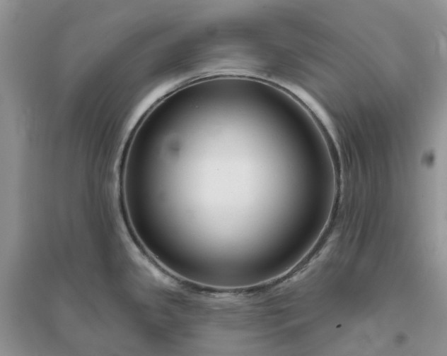 X0000096171341200802011309