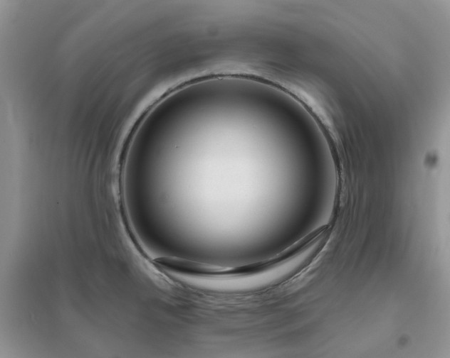 X0000096171342200802011309