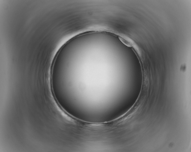 X0000096171343200802011309