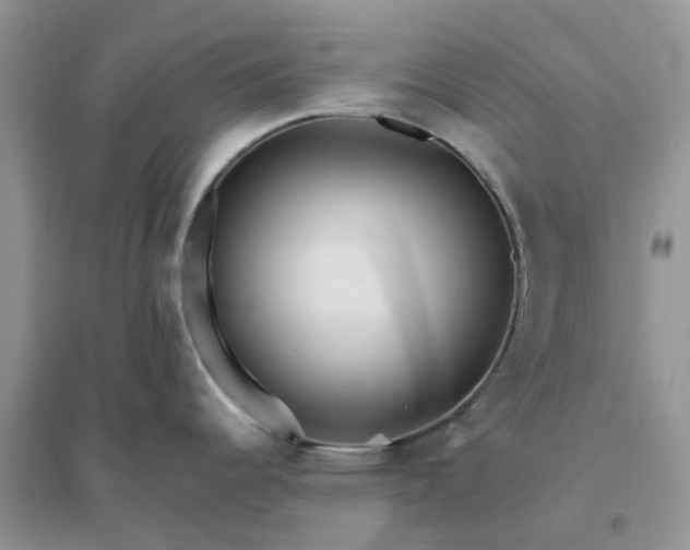 X0000096171344200802011309