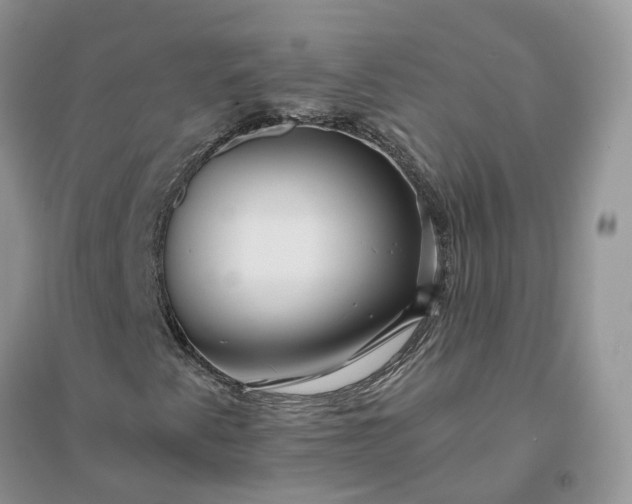 X0000096171345200802011309