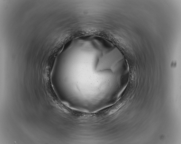 X0000096171346200802011309