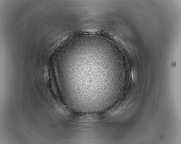 X0000096171347200802011309