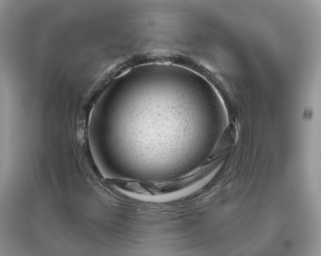 X0000096171348200802011309