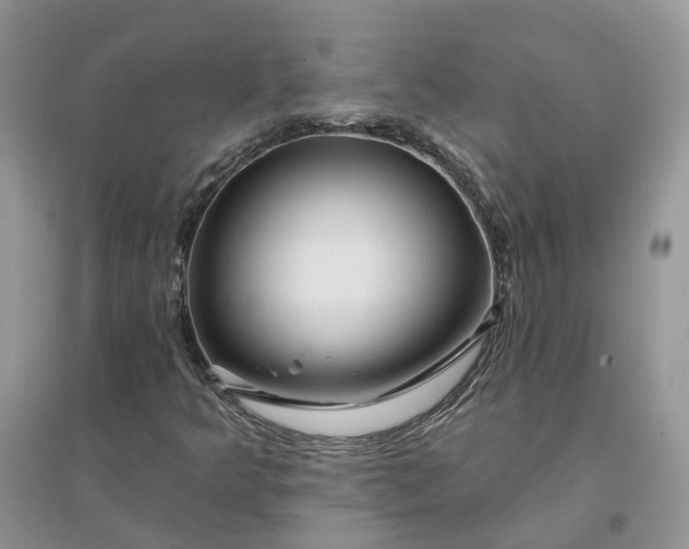 X0000096171349200802011309