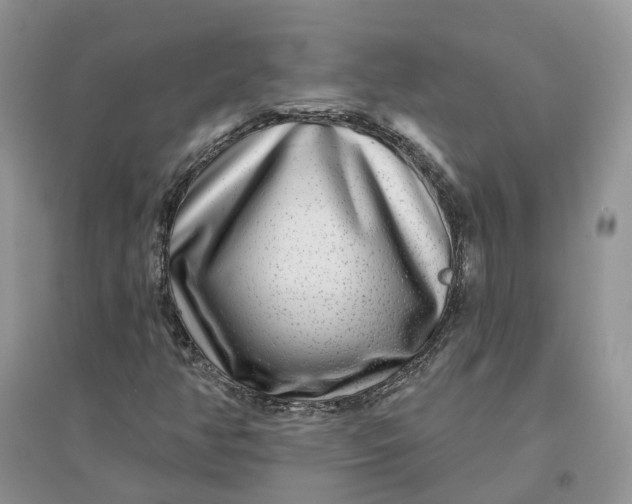 X0000096171350200802011309