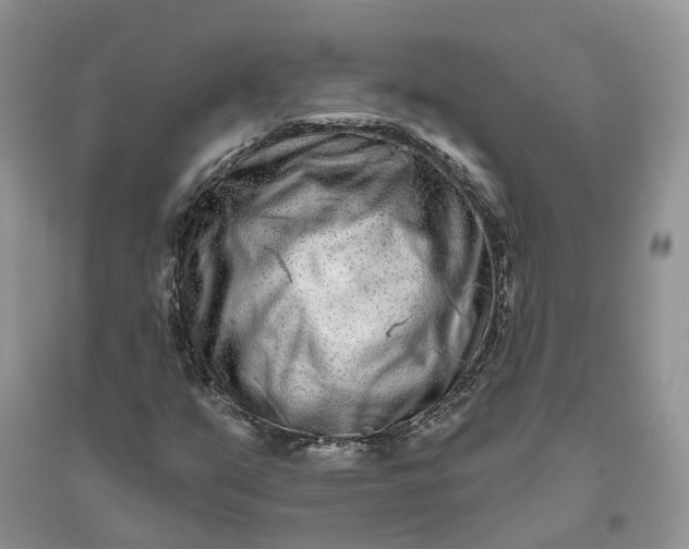 X0000096171351200802011309