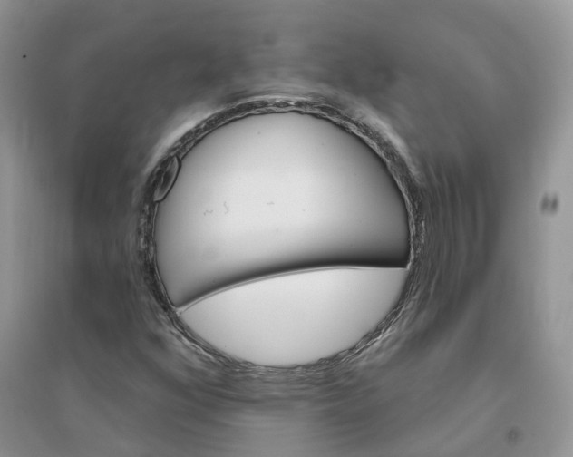 X0000096171352200802011309