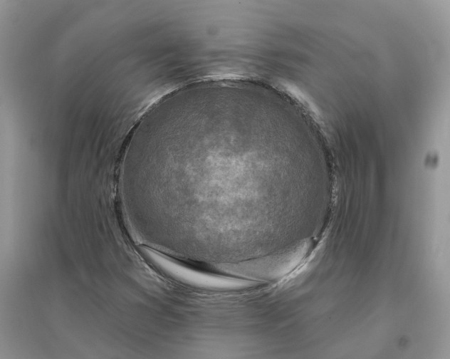 X0000096171353200802011309