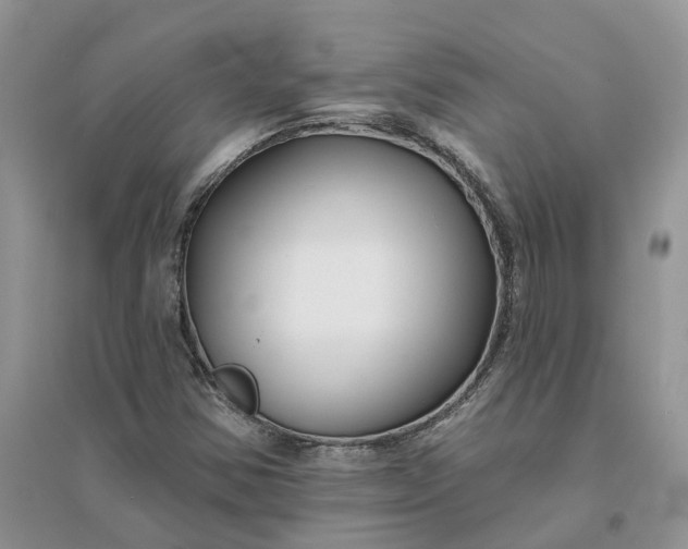 X0000096171354200802011309