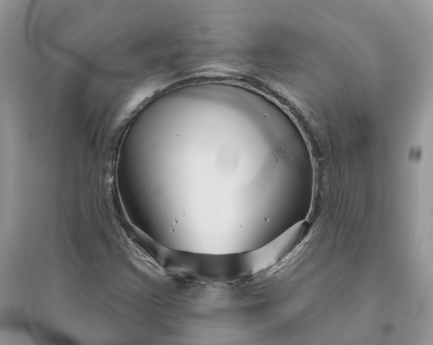 X0000096171355200802011309