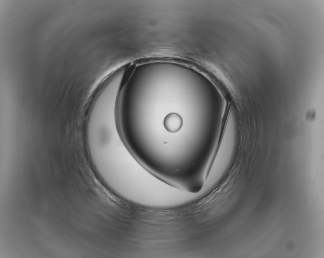 X0000096171356200802011309